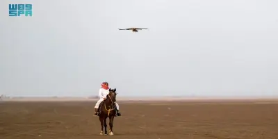 Al-Lith: Where Falcons Meet the Sea